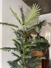Cargar imagen en el visor de la galería, Palmera Areca