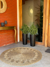 Cargar imagen en el visor de la galería, Boj 60 cms