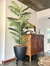Cargar imagen en el visor de la galería, Palmera Areca