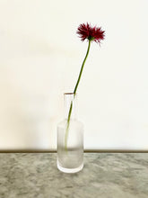 Cargar imagen en el visor de la galería, Jarro Borde Dorado