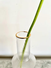 Cargar imagen en el visor de la galería, Jarro Borde Dorado