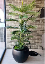 Cargar imagen en el visor de la galería, Palmera Areca