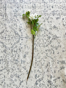 Crisantemo Blanco