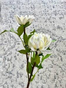Crisantemo Blanco