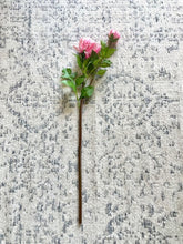 Cargar imagen en el visor de la galería, Crisantemo Rosado
