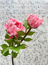 Cargar imagen en el visor de la galería, Crisantemo Rosado

